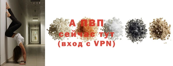 эйфоретик Майский