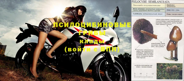 Альфа ПВП Магадан