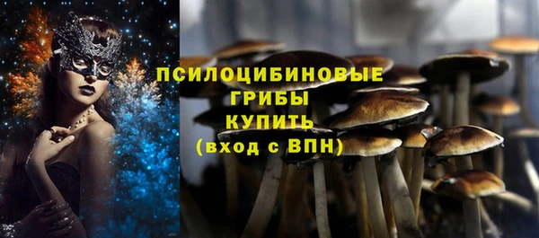 2c-b Магас
