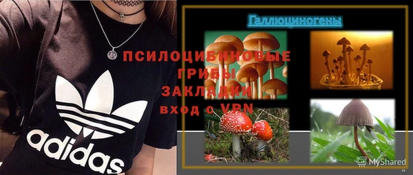 Альфа ПВП Магадан